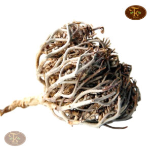 Mariyam Booti (Nabi Booti) 1 Pc From Saudi Arabia – Traditional Herbal Remedy - Image 1