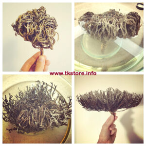 Mariyam Booti (Nabi Booti) 1 Pc From Saudi Arabia – Traditional Herbal Remedy - Image 4