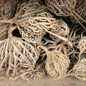 Mariyam Booti (Nabi Booti) 1 Pc From Saudi Arabia – Traditional Herbal Remedy - Image 5